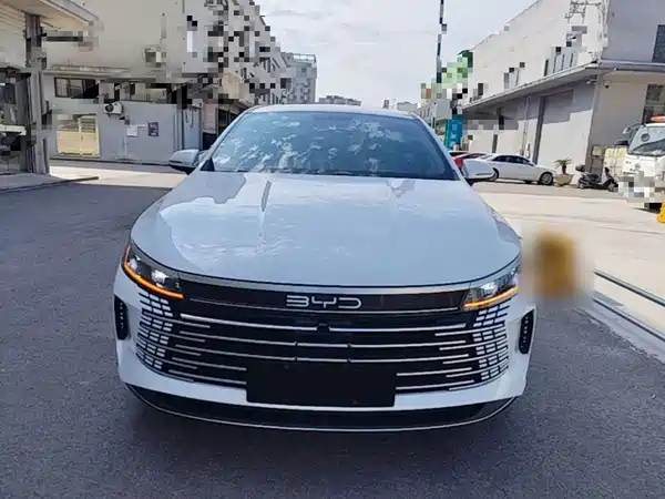 BYD Destroyer 05 2024