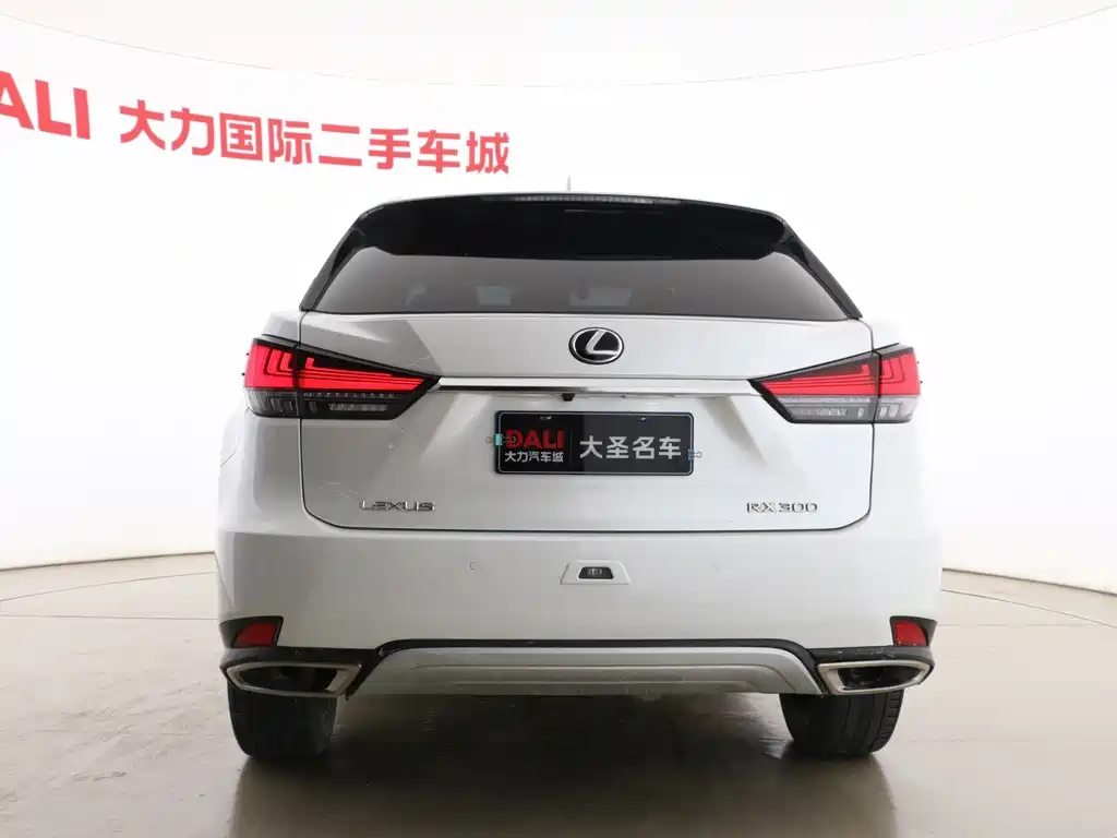 Lexus RX 2022 — фото 15