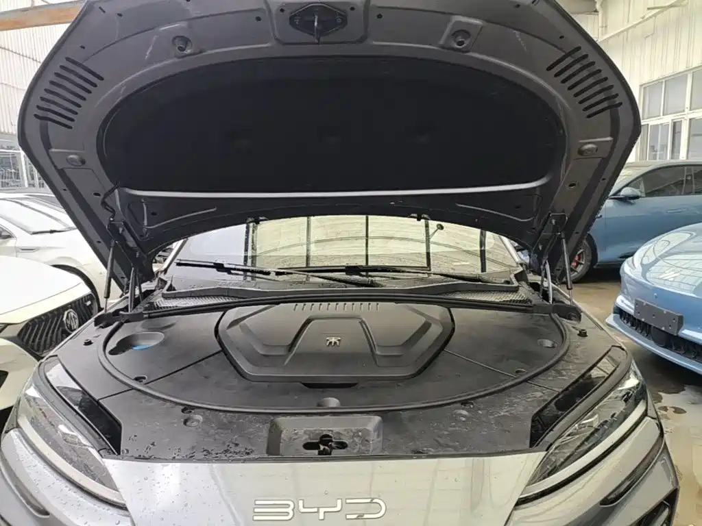 BYD Song PLUS New Energy 2024 — фото 20