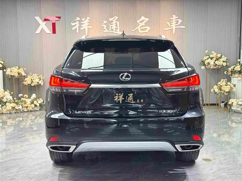 Lexus RX 2022 — фото 21