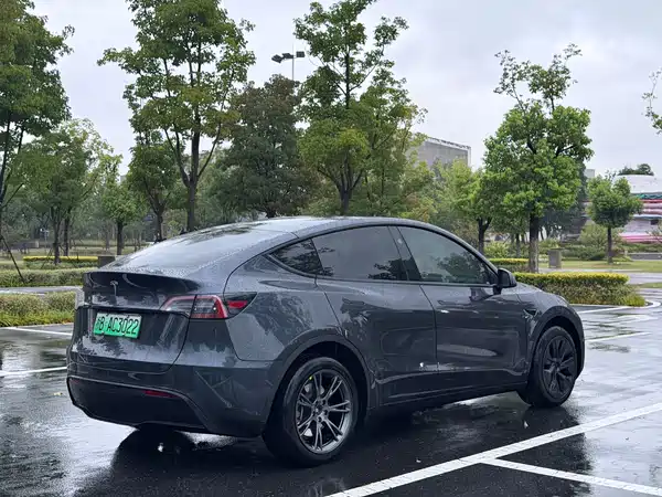 Tesla Model Y 2025
