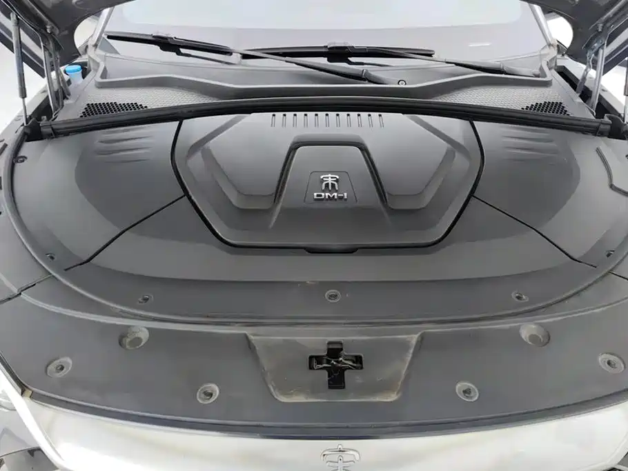 BYD Song PLUS New Energy 2023 — фото 10