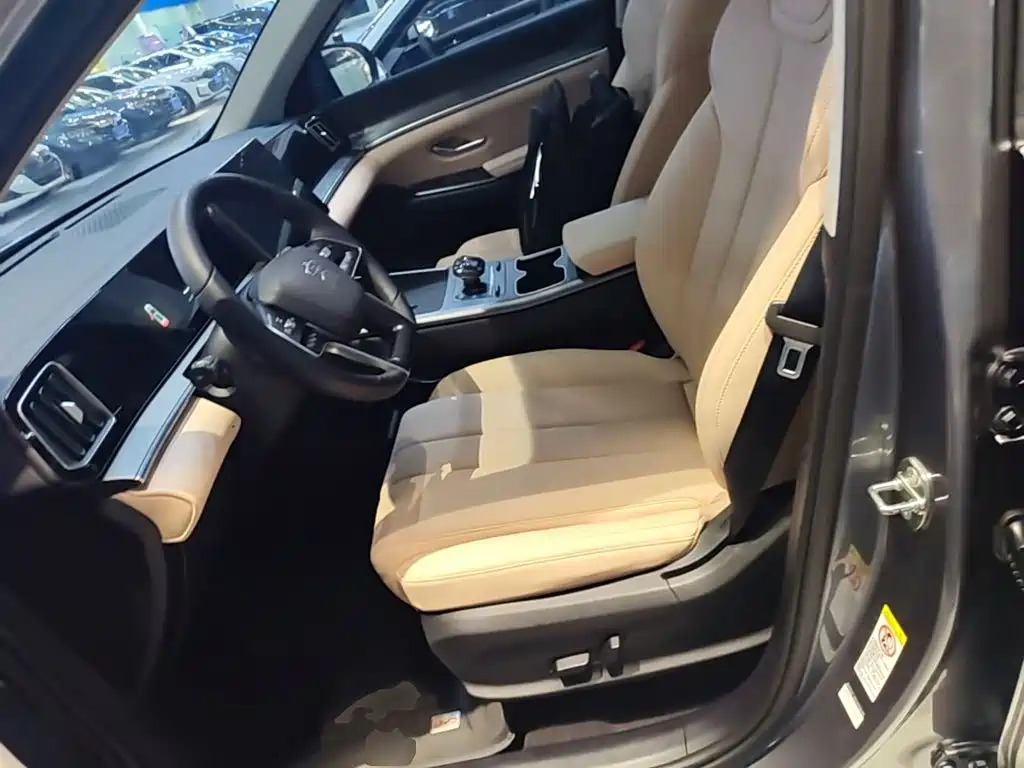 BYD Song Pro New Energy 2025 — фото 15