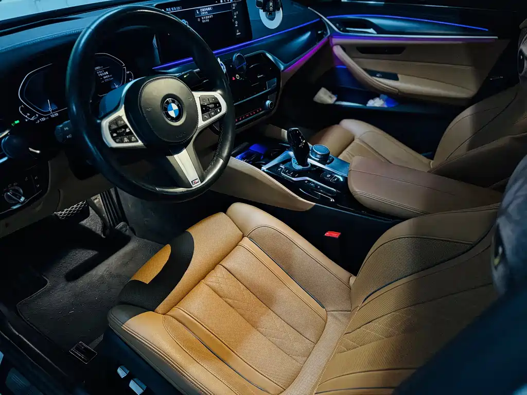 BMW 5 Series New Energy 2020