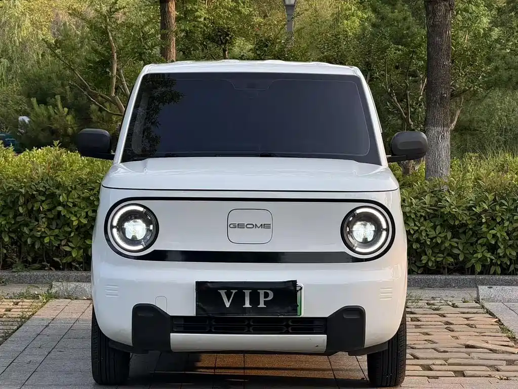 Geely Galaxy Panda 2025