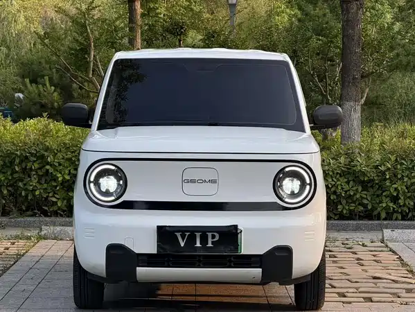 Geely Galaxy Panda 2025