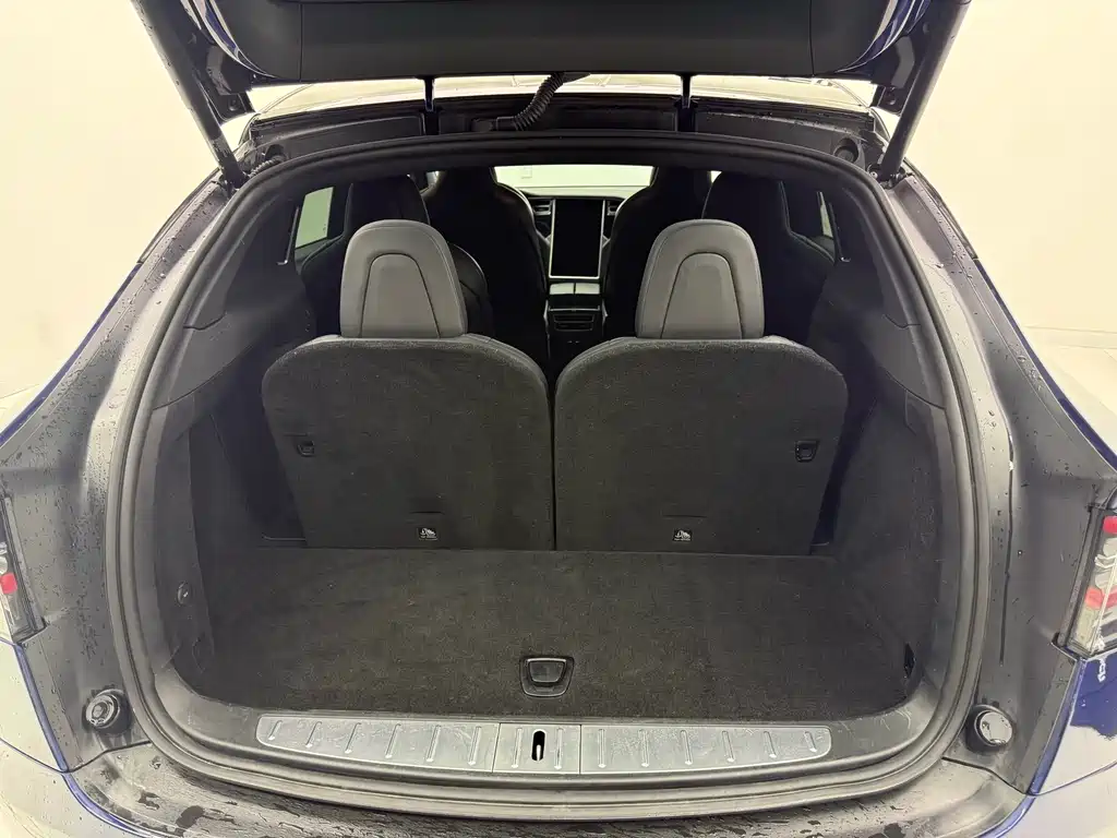 Tesla Model X 2018 — фото 19