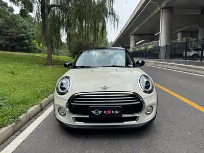 MINI MINI 2019