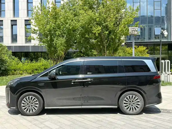 BYD Summer 2025
