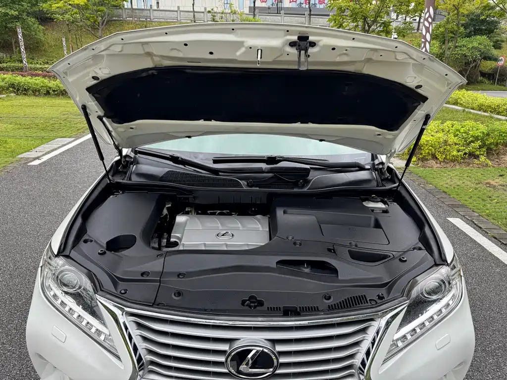 Lexus RX Classic 2010 — фото 28