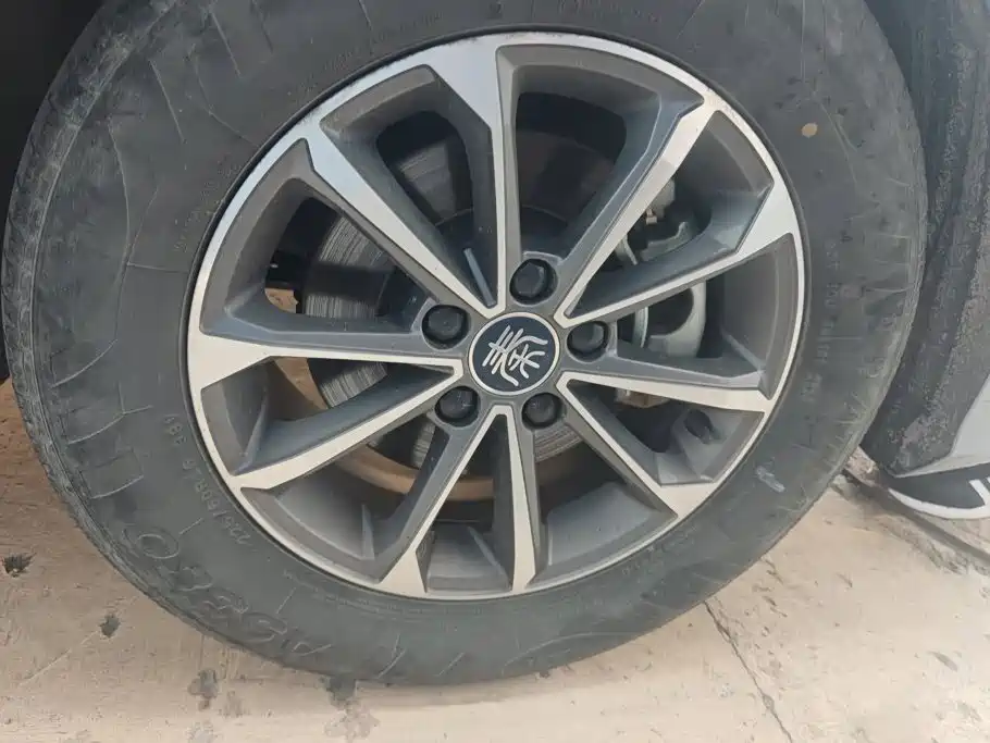 BYD Qin PLUS 2024
