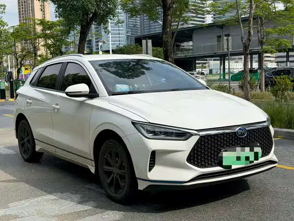 BYD e2 2021