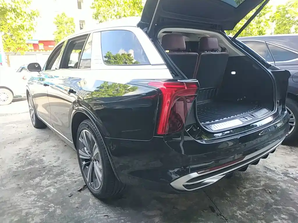 Hongqi E-HS9 2022
