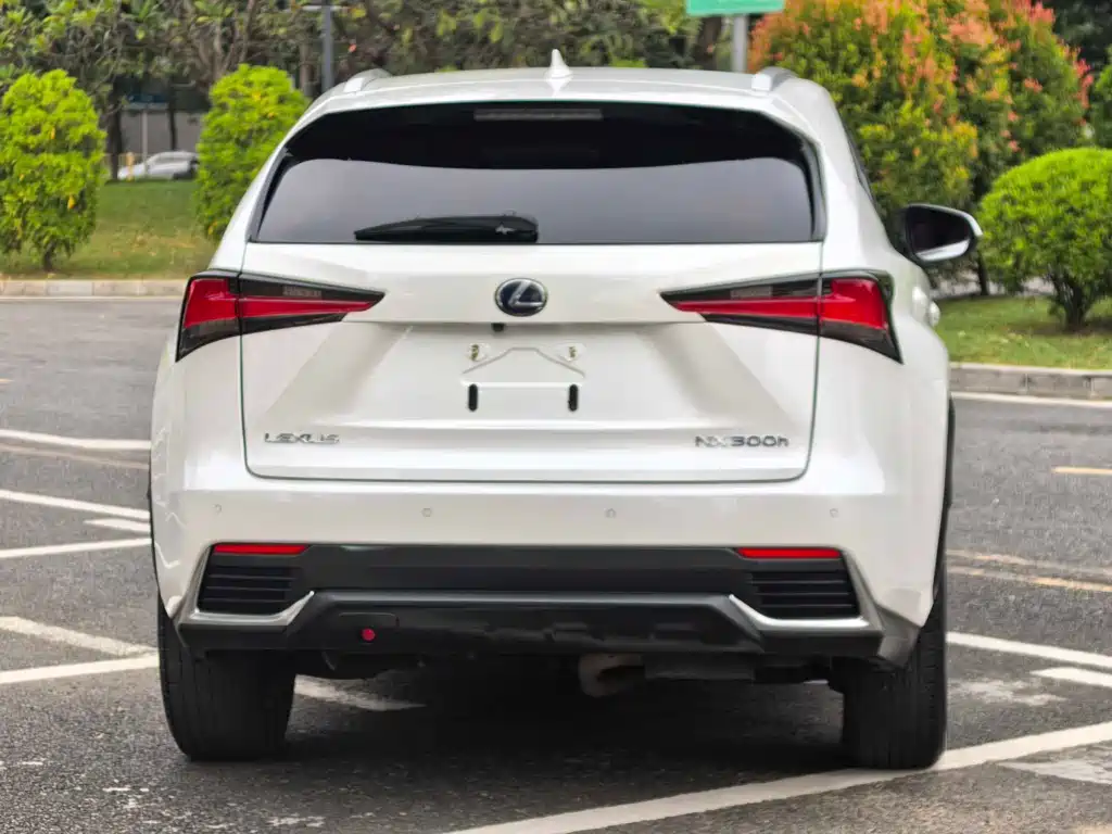 Lexus NX 2020 — фото 17