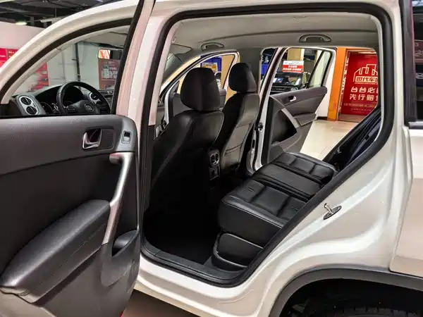 Volkswagen Tiguan 2010