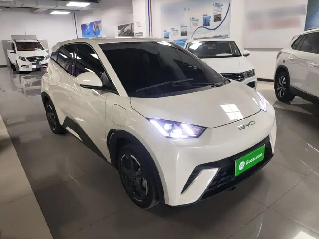 BYD Seagull 2024
