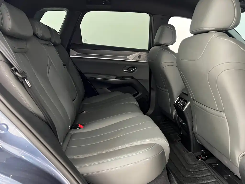 BYD Song Pro New Energy 2025 — фото 11