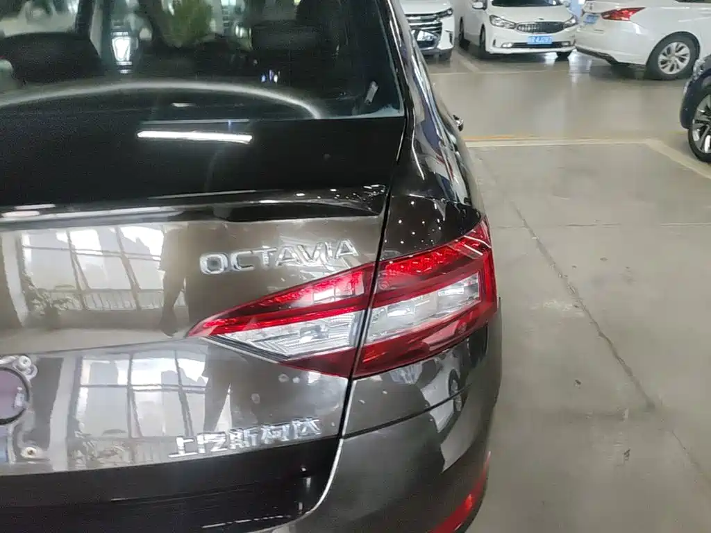 Skoda Octavia 2018 — фото 8