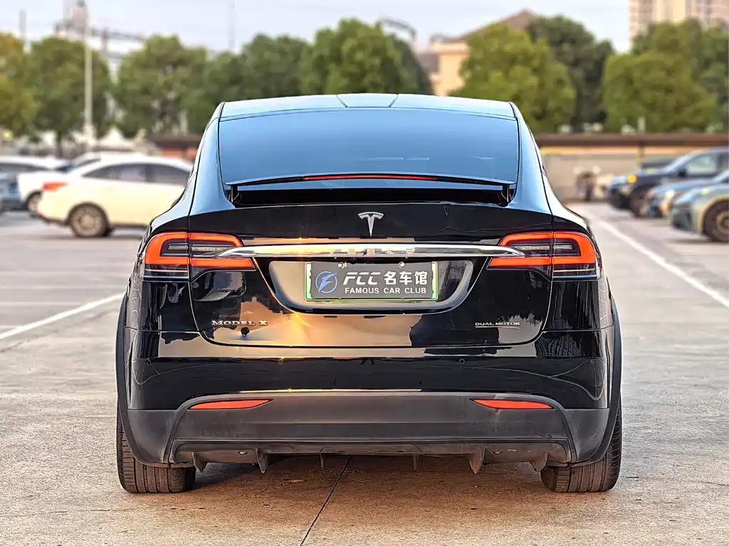 Tesla Model X 2018 — фото 6