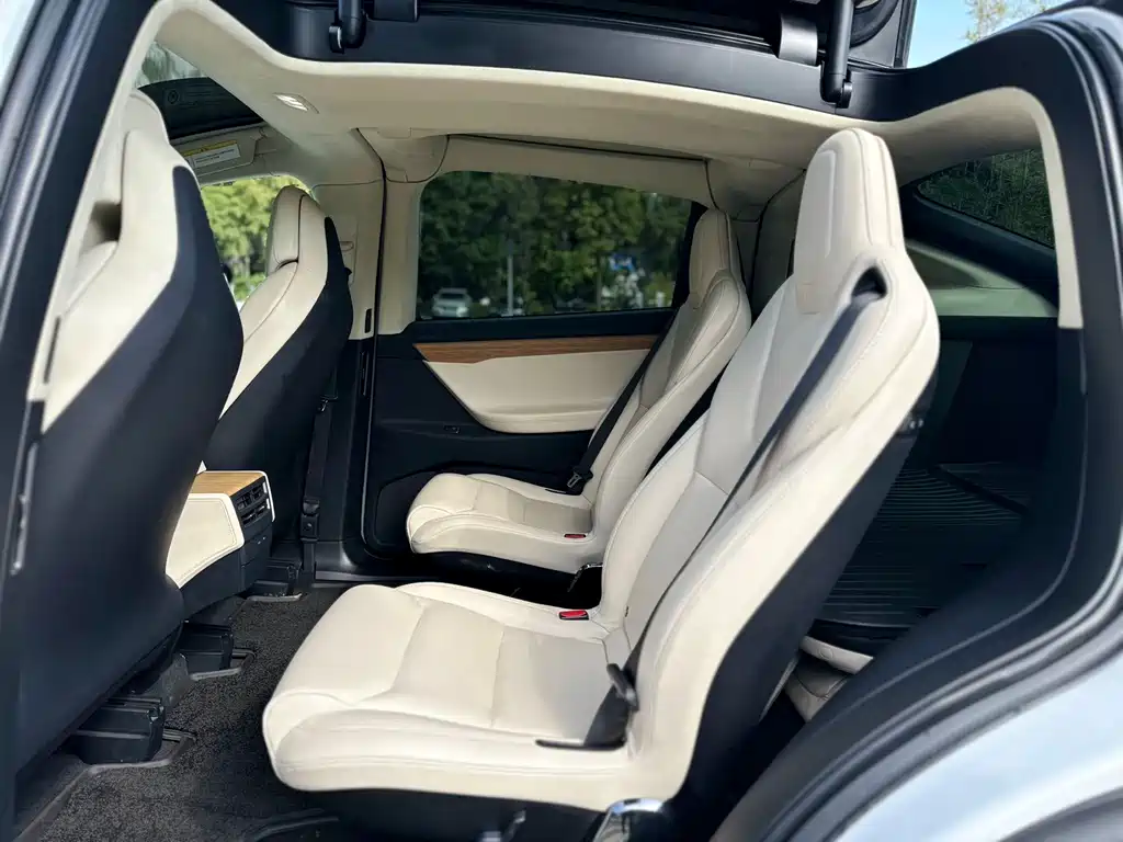 Tesla Model X 2019 — фото 7