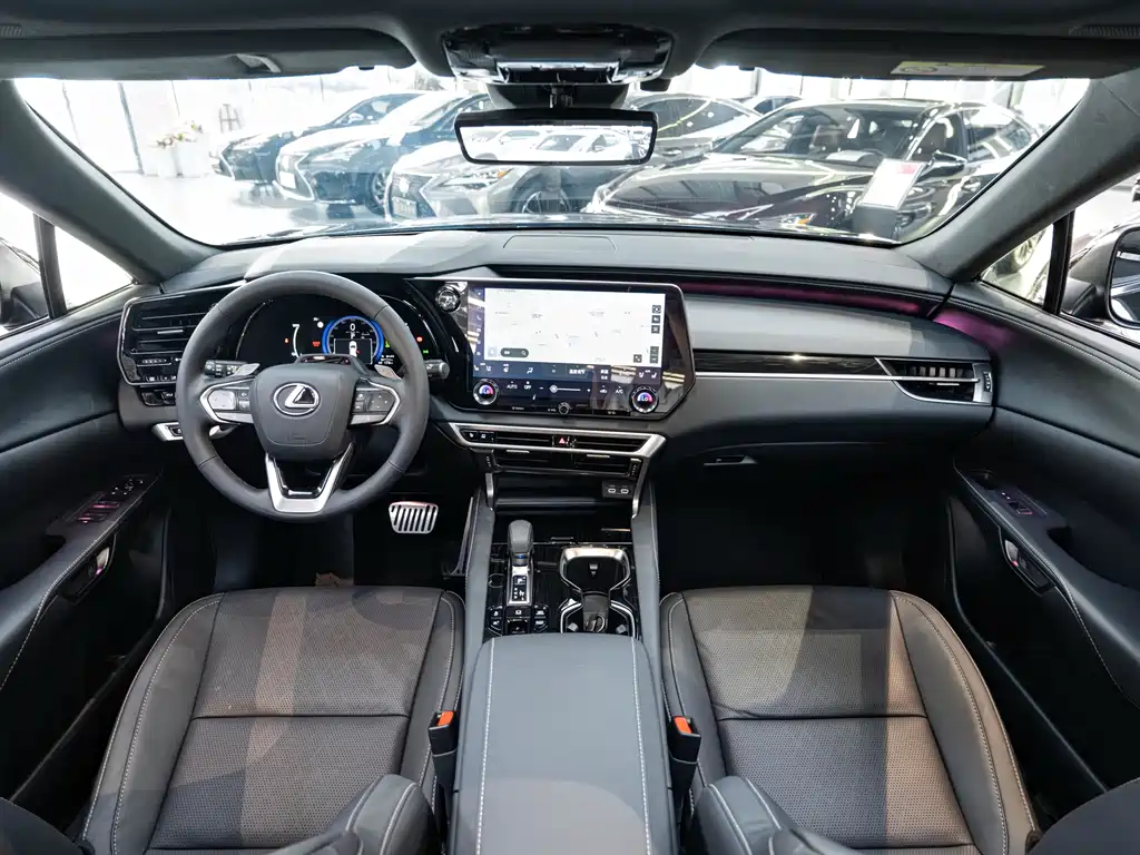 Lexus RX New Energy 2023 — фото 13