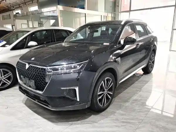 Venucia Star 2020