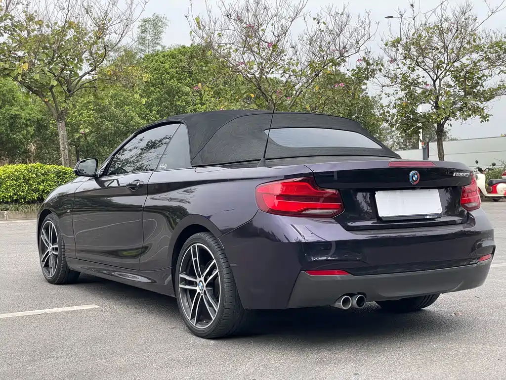 BMW 2 Series 2019 — фото 19