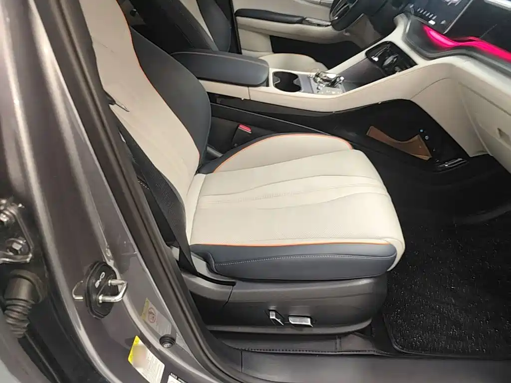 BYD Song PLUS New Energy 2024 — фото 25
