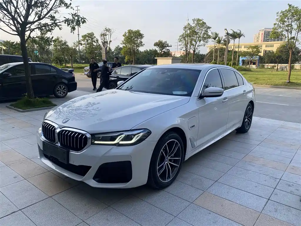 BMW 5 Series New Energy 2022