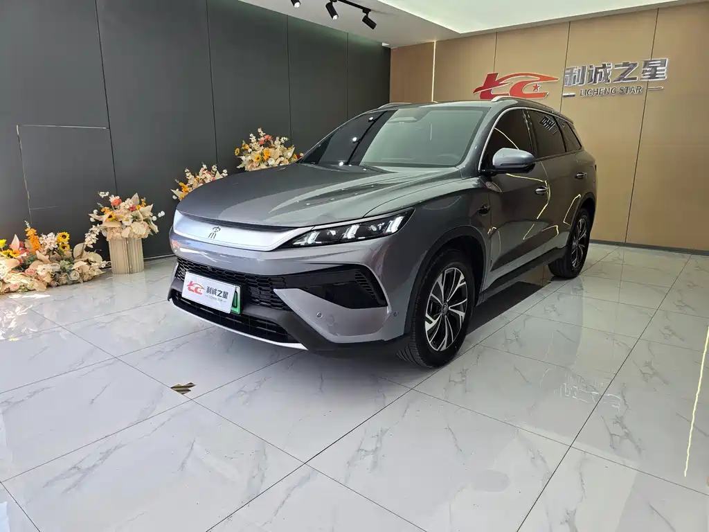 BYD Song Pro New Energy 2025 — фото 1
