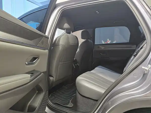 BYD Song Pro New Energy 2025