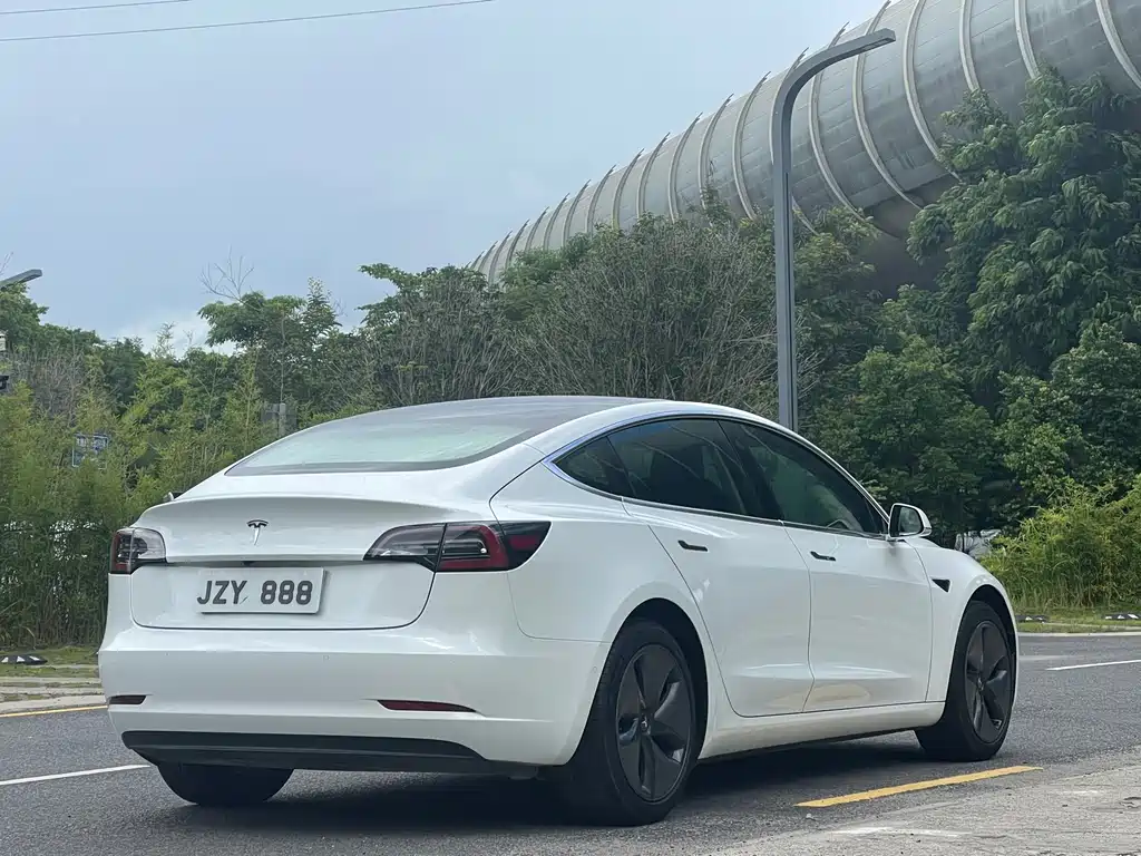 Tesla Model 3 2019