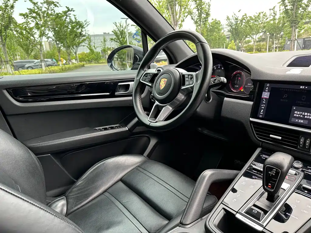 Porsche Cayenne 2020 — фото 11