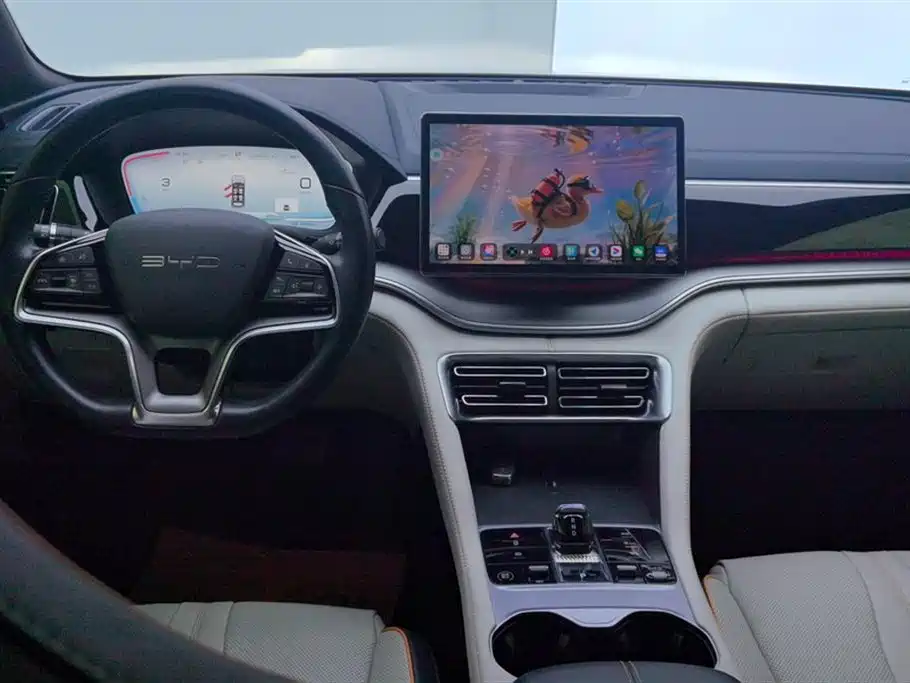BYD PLUS New Energy 2024 — фото 12
