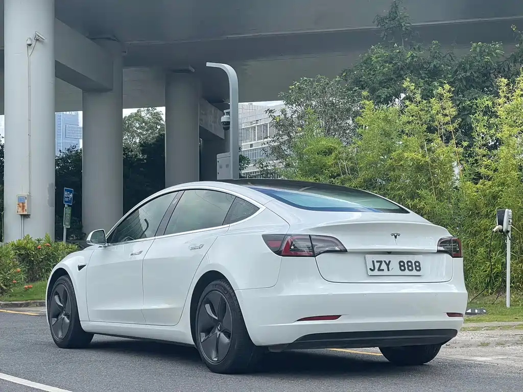 Tesla Model 3 2019