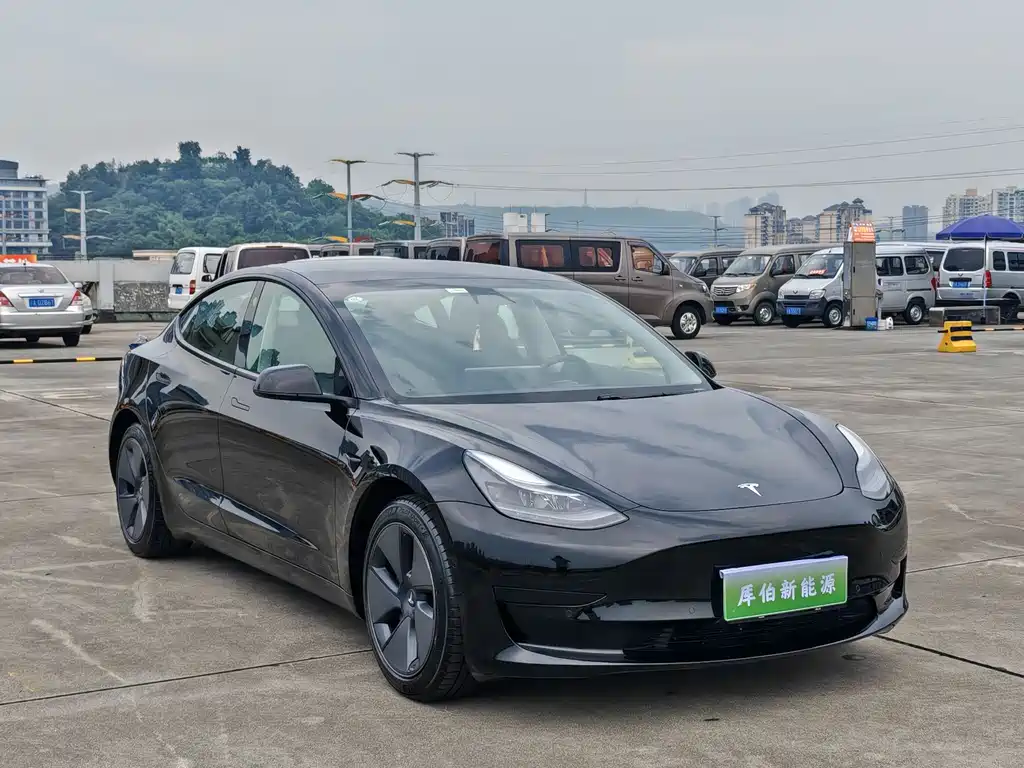 Tesla Model 3 2021 — фото 3
