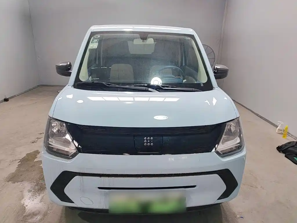 Fengguang MINIEV 2022