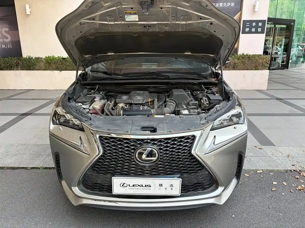 Lexus NX 2015 — фото 6