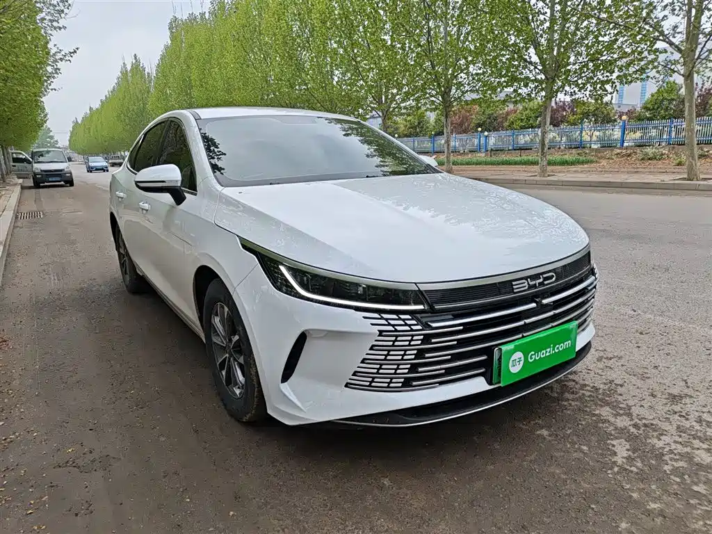 BYD Destroyer 05 2024 — фото 22