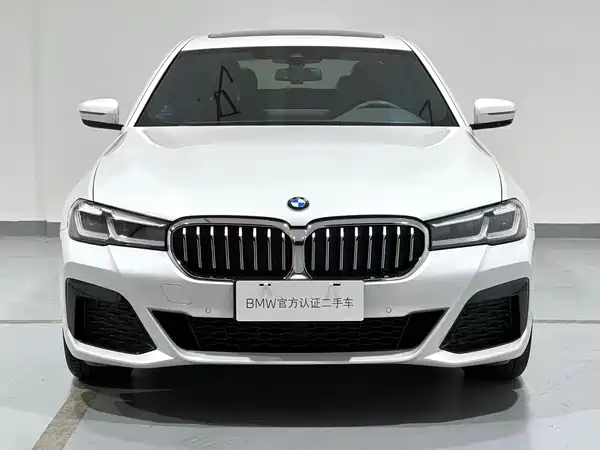 BMW 5 Series 2021