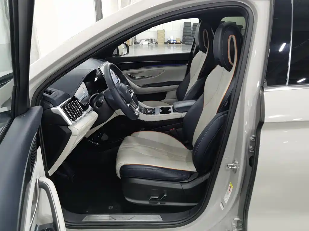 BYD Song PLUS New Energy 2024 — фото 10