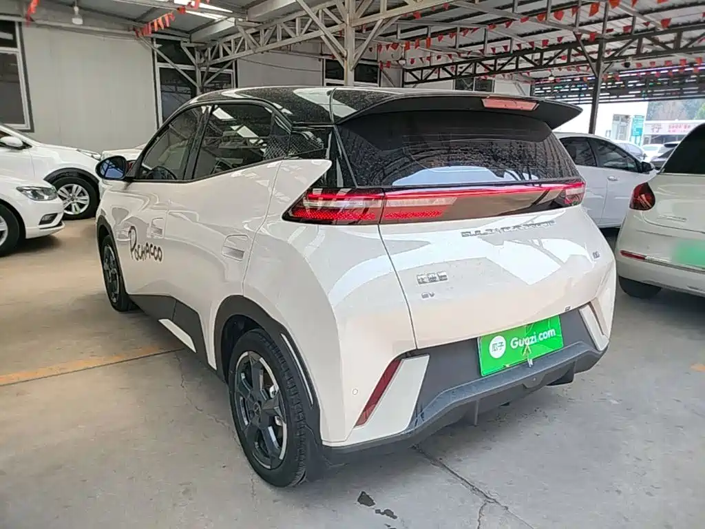 BYD Seagull 2024