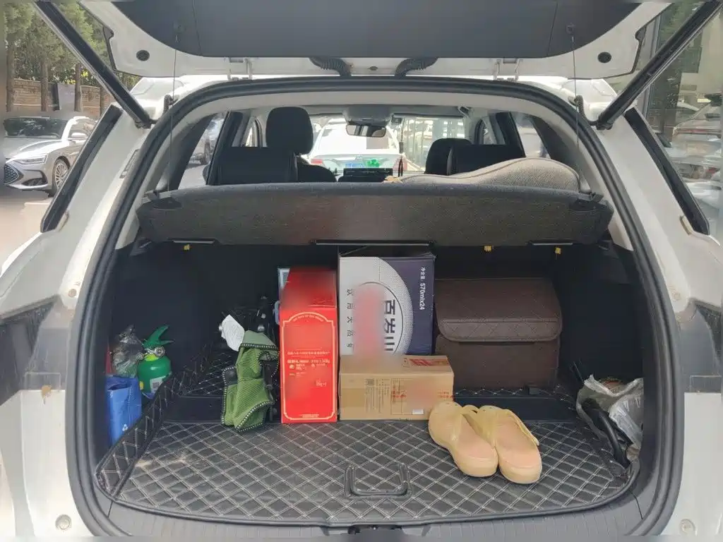 BYD Song Pro New Energy 2019 — фото 20