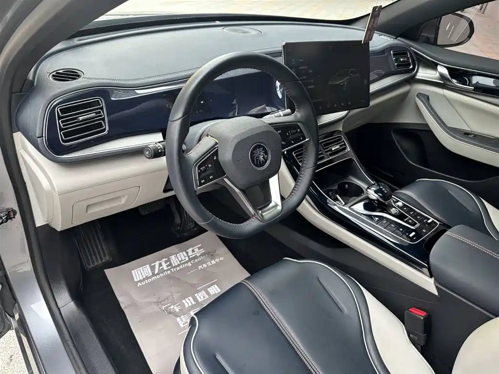 BYD Qin PLUS 2023 — фото 14