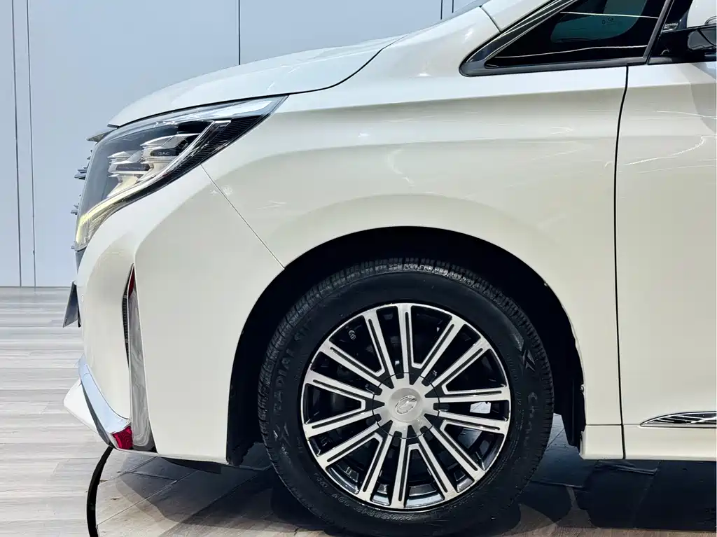 GAC Motor Trumpchi M8 2021 — фото 27