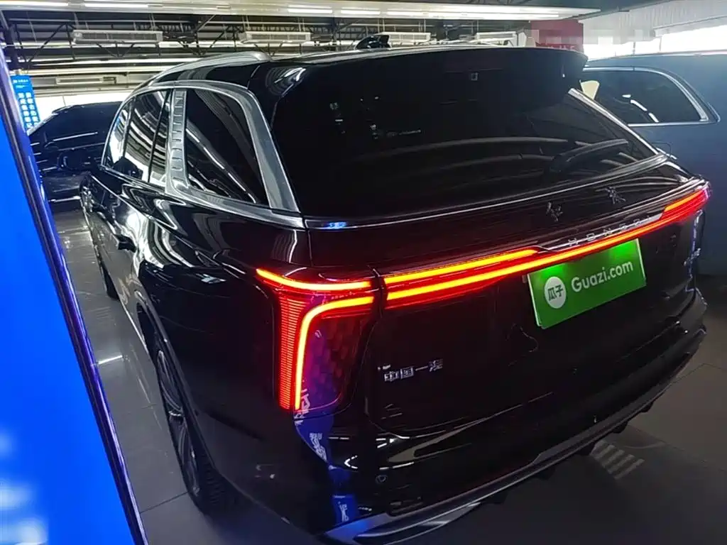 Hongqi E-HS9 2023 — фото 5