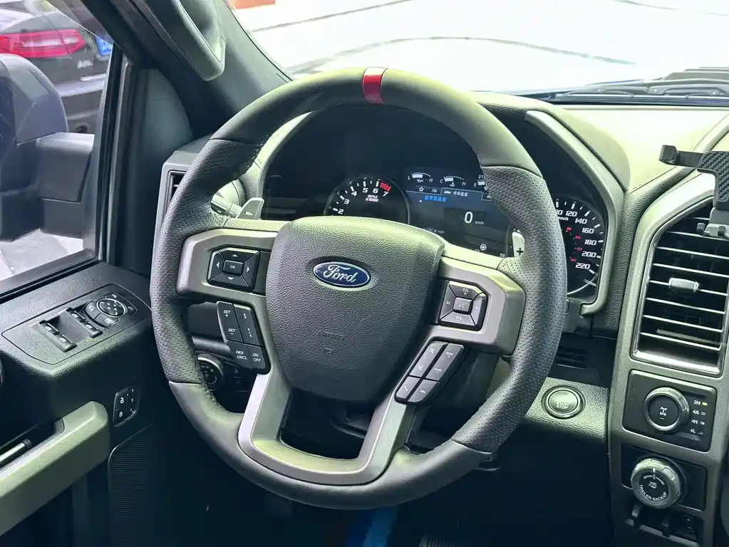 Ford F-150 Raptor 2019 — фото 15