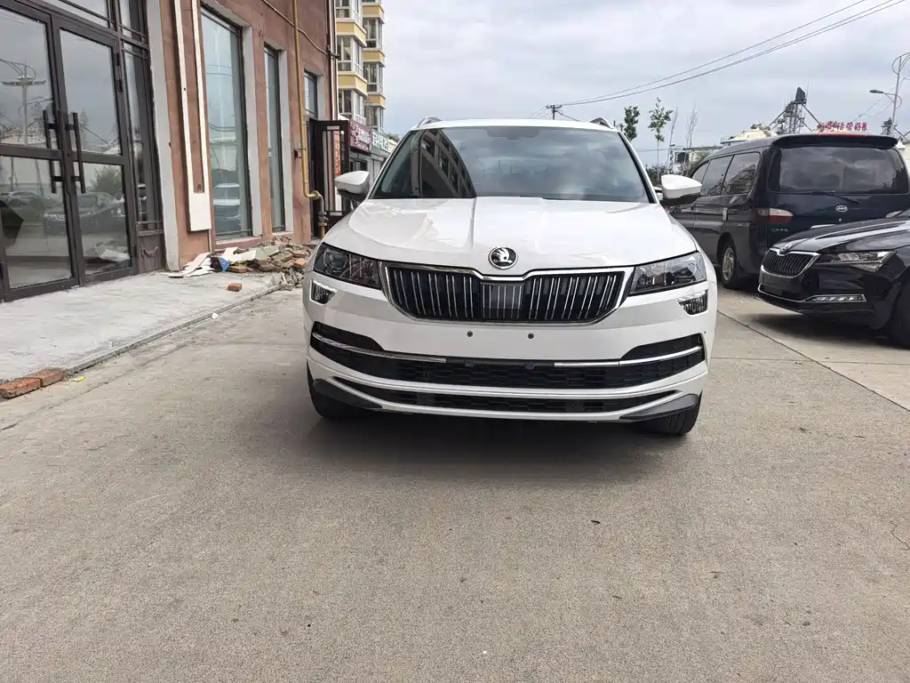 Skoda Karoq 2022 — фото 2