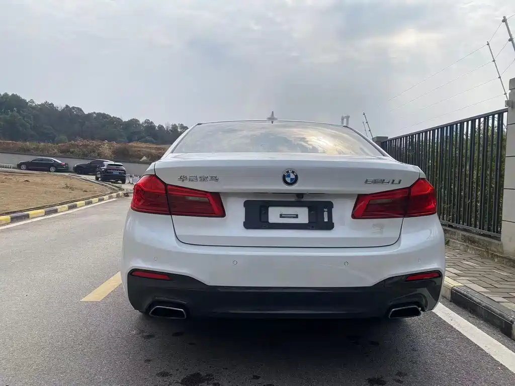 BMW 5 Series 2018 — фото 8