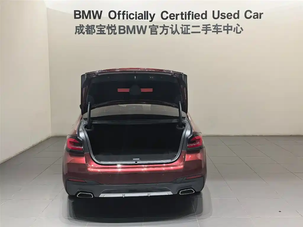 BMW 5 Series New Energy 2022